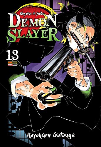 Demon Slayer Vol. 13