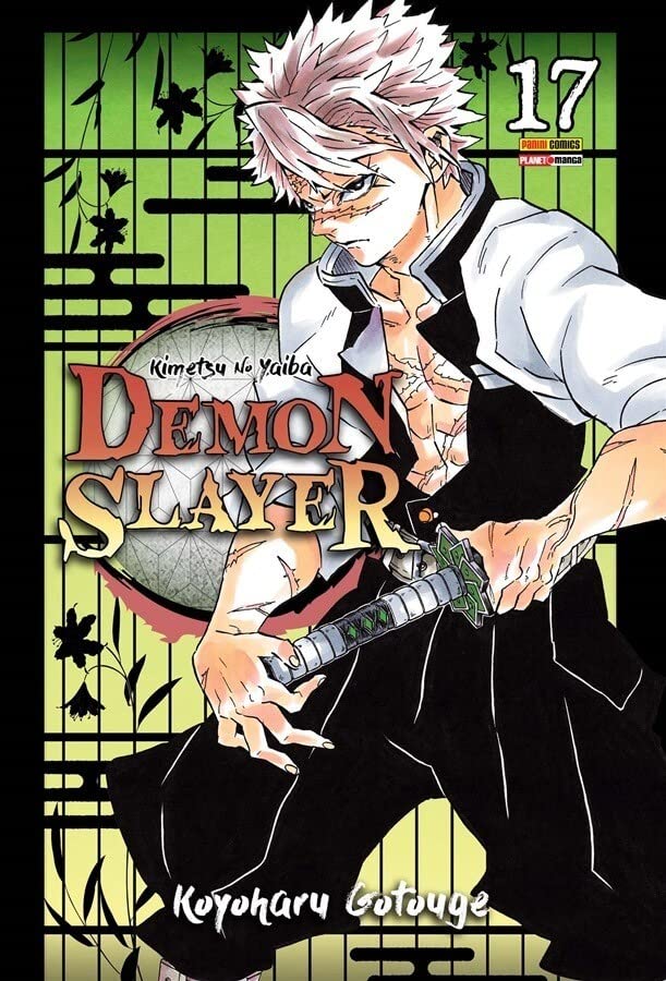 Demon Slayer Vol. 17