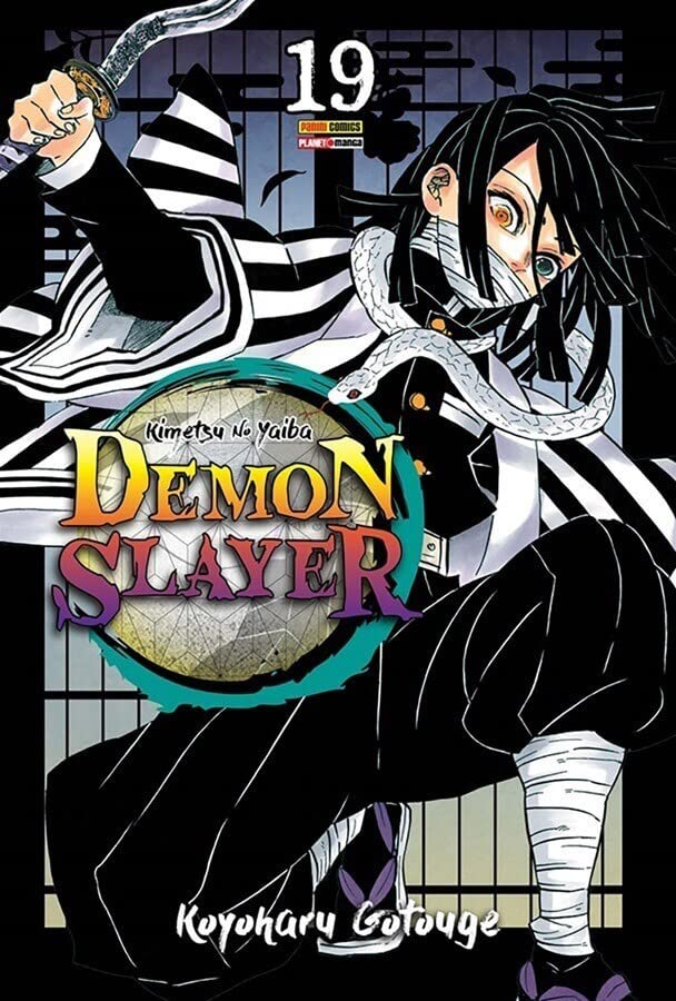 Demon Slayer Vol. 19